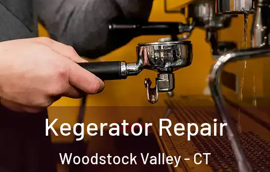  Kegerator Repair Woodstock Valley - CT