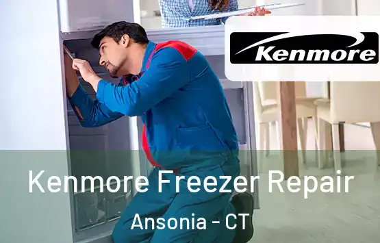  Kenmore Freezer Repair Ansonia - CT