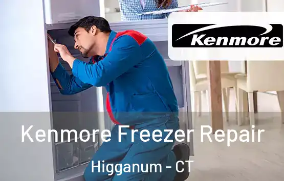  Kenmore Freezer Repair Higganum - CT