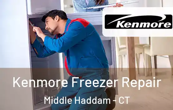  Kenmore Freezer Repair Middle Haddam - CT