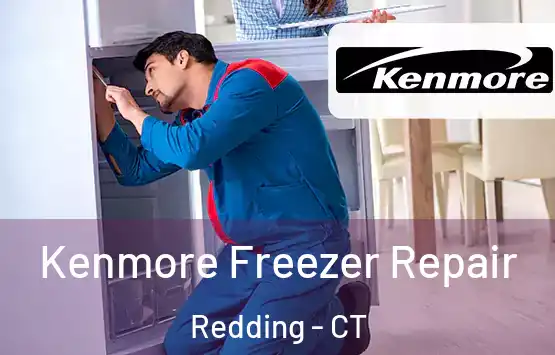  Kenmore Freezer Repair Redding - CT