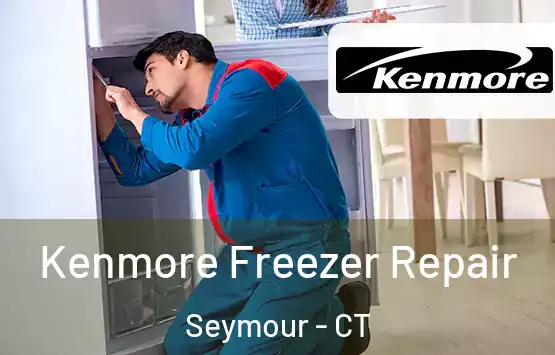  Kenmore Freezer Repair Seymour - CT