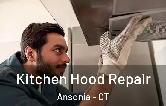  Kitchen Hood Repair Ansonia - CT