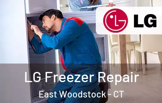  LG Freezer Repair East Woodstock - CT