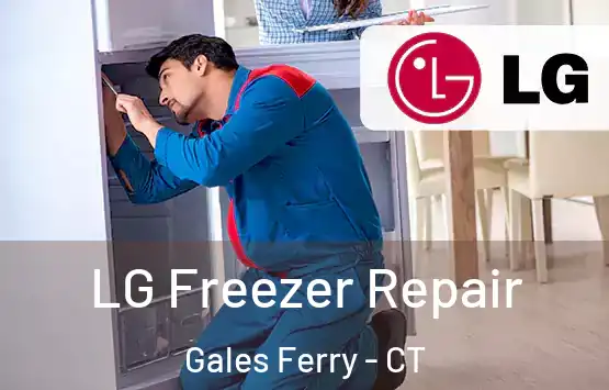 LG Freezer Repair Gales Ferry - CT