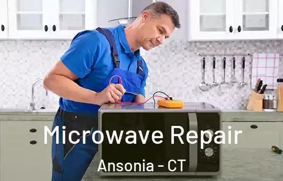  Microwave Repair Ansonia - CT