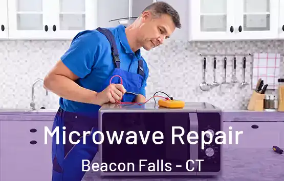  Microwave Repair Beacon Falls - CT