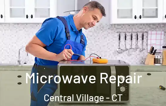  Microwave Repair Central Village - CT