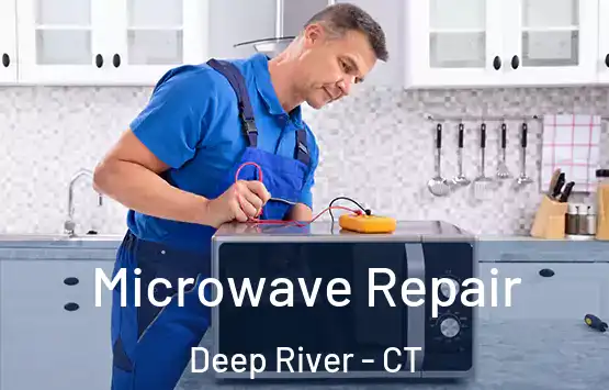  Microwave Repair Deep River - CT