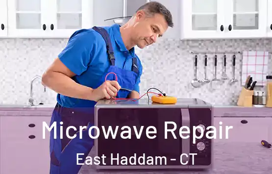  Microwave Repair East Haddam - CT