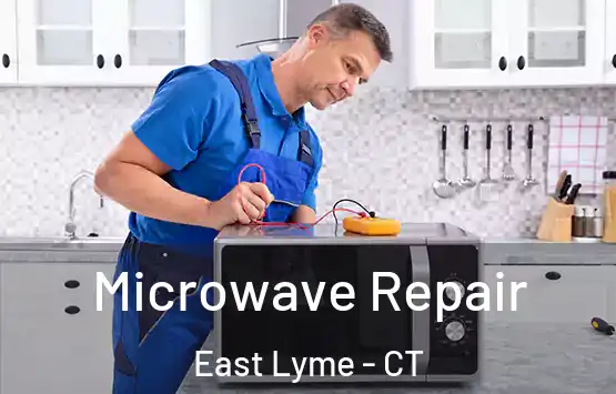  Microwave Repair East Lyme - CT