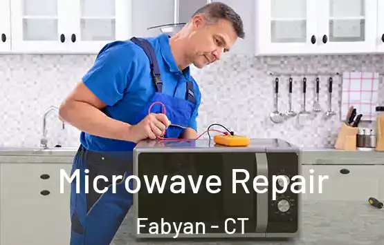  Microwave Repair Fabyan - CT