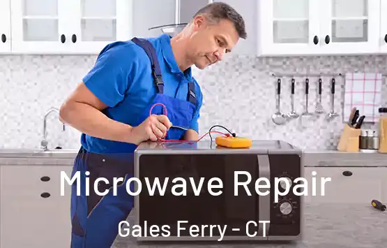  Microwave Repair Gales Ferry - CT