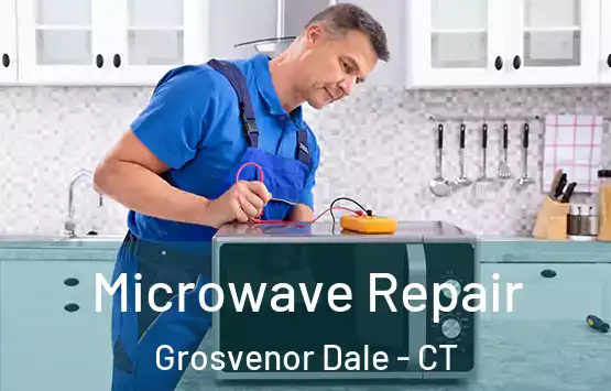  Microwave Repair Grosvenor Dale - CT