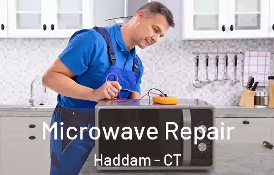  Microwave Repair Haddam - CT