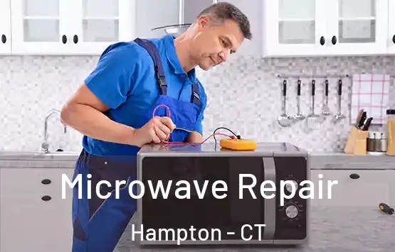  Microwave Repair Hampton - CT