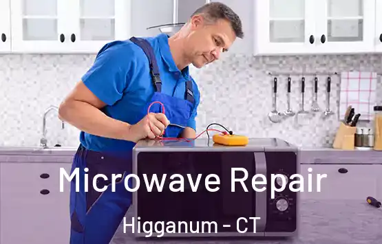  Microwave Repair Higganum - CT