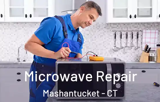  Microwave Repair Mashantucket - CT