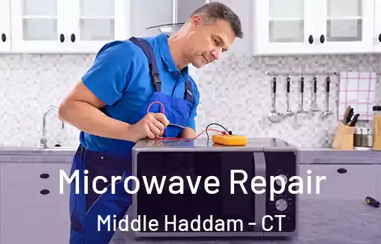  Microwave Repair Middle Haddam - CT