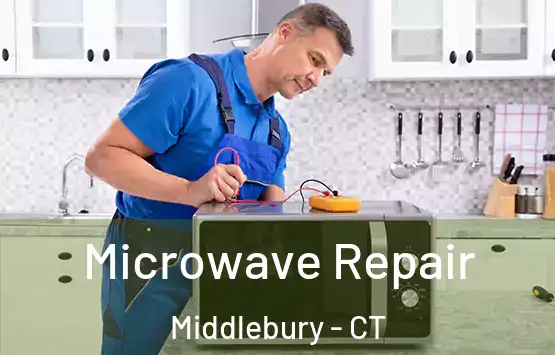  Microwave Repair Middlebury - CT