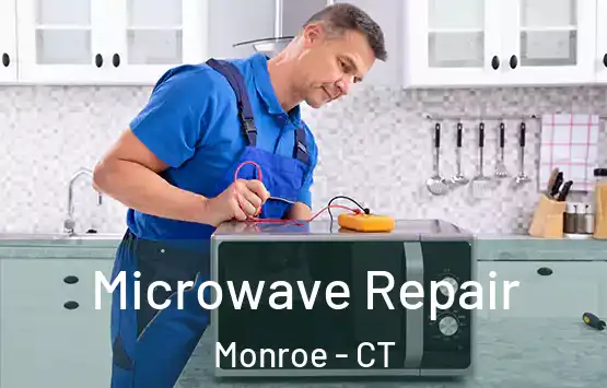  Microwave Repair Monroe - CT