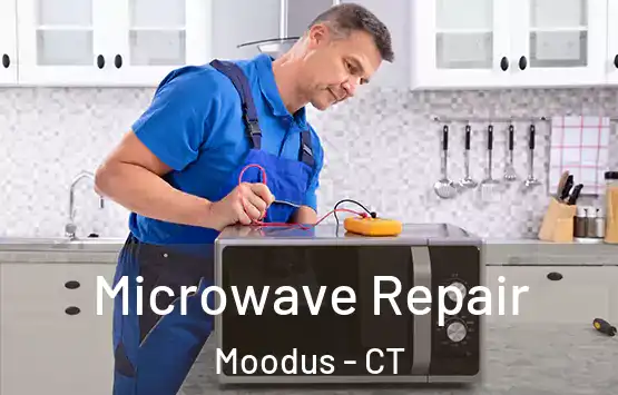  Microwave Repair Moodus - CT