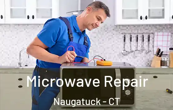  Microwave Repair Naugatuck - CT