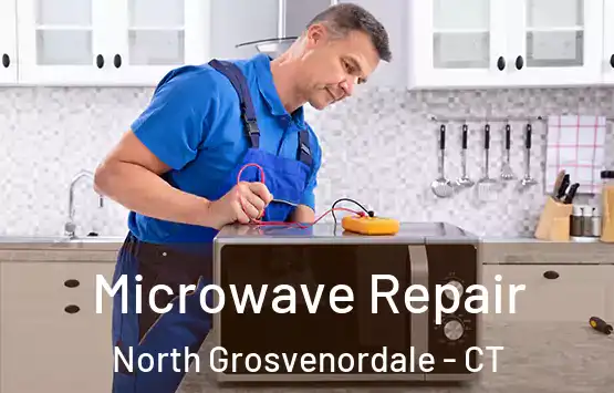  Microwave Repair North Grosvenordale - CT