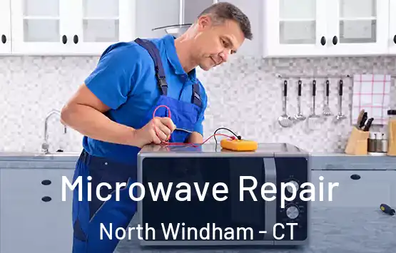 Microwave Repair North Windham - CT