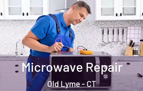  Microwave Repair Old Lyme - CT