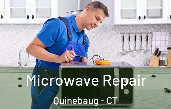  Microwave Repair Quinebaug - CT