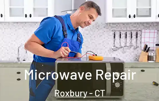  Microwave Repair Roxbury - CT