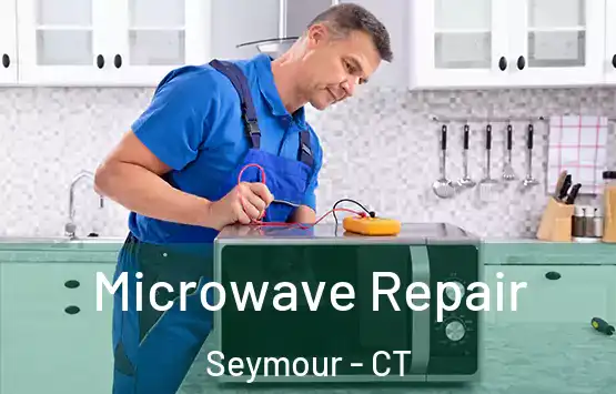  Microwave Repair Seymour - CT