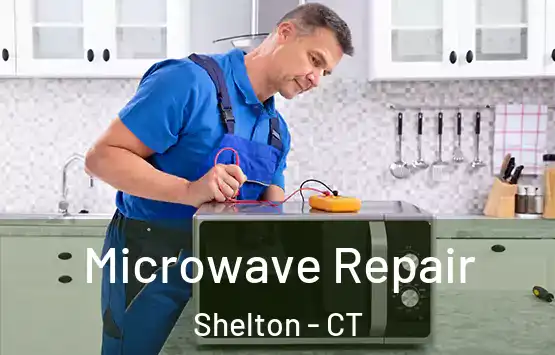  Microwave Repair Shelton - CT