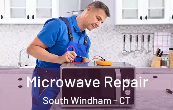  Microwave Repair South Windham - CT