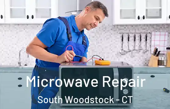  Microwave Repair South Woodstock - CT