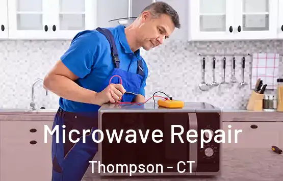  Microwave Repair Thompson - CT