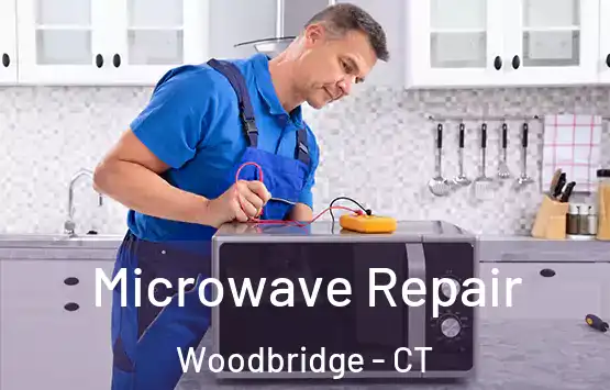  Microwave Repair Woodbridge - CT