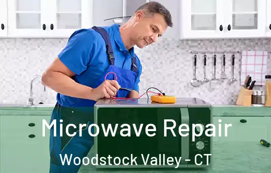  Microwave Repair Woodstock Valley - CT