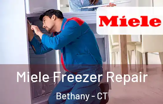  Miele Freezer Repair Bethany - CT