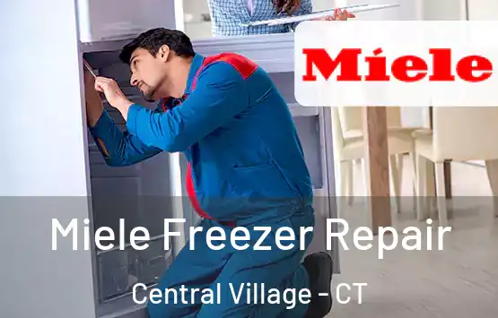  Miele Freezer Repair Central Village - CT