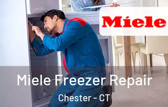  Miele Freezer Repair Chester - CT