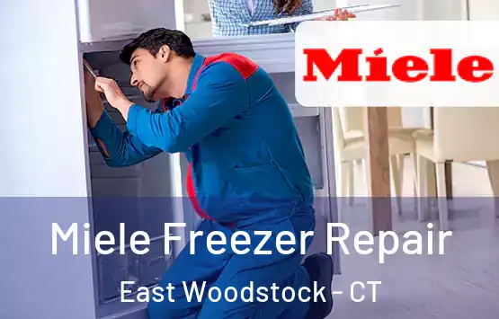  Miele Freezer Repair East Woodstock - CT