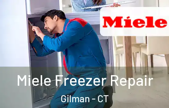  Miele Freezer Repair Gilman - CT