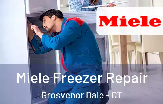  Miele Freezer Repair Grosvenor Dale - CT