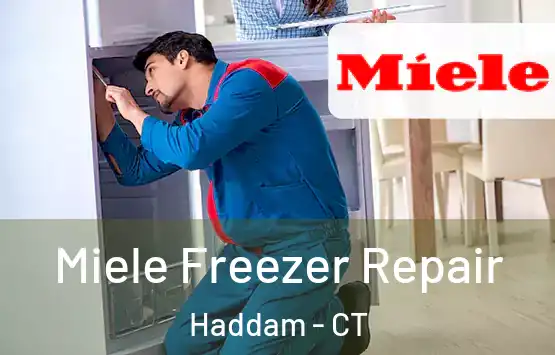  Miele Freezer Repair Haddam - CT
