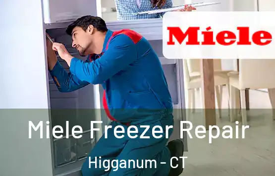  Miele Freezer Repair Higganum - CT