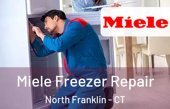  Miele Freezer Repair North Franklin - CT