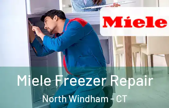  Miele Freezer Repair North Windham - CT