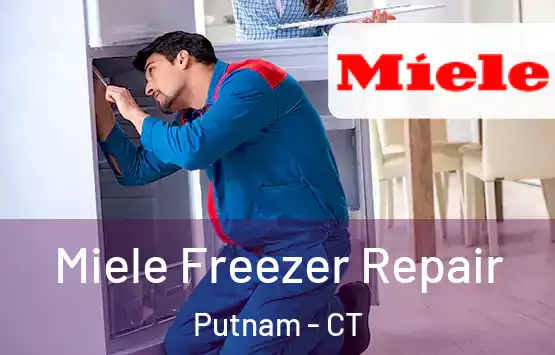  Miele Freezer Repair Putnam - CT
